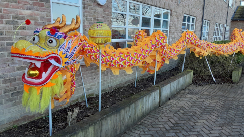 dragon